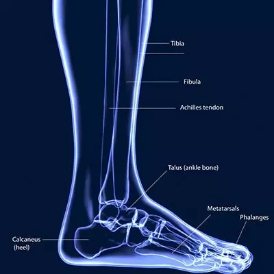 Common Orthopedic Injuries